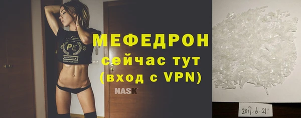 хмурый Аркадак