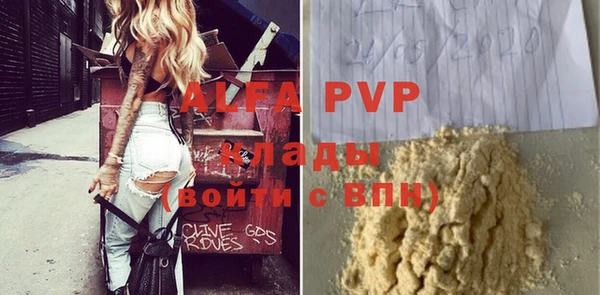 хмурый Аркадак
