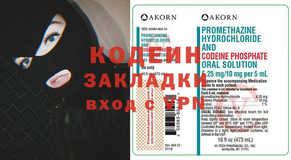хмурый Аркадак
