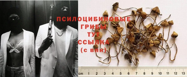 амф Алзамай